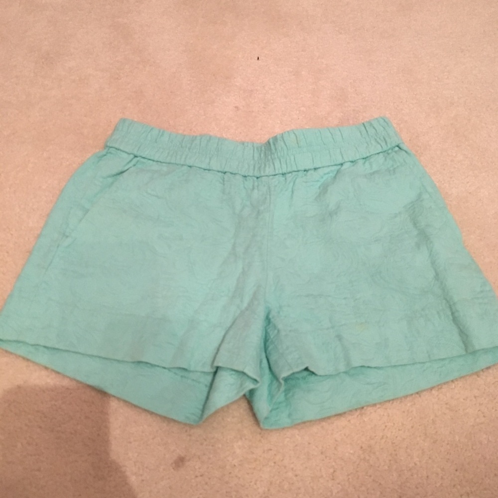 Teal/Blue Casual Jcrew Shorts